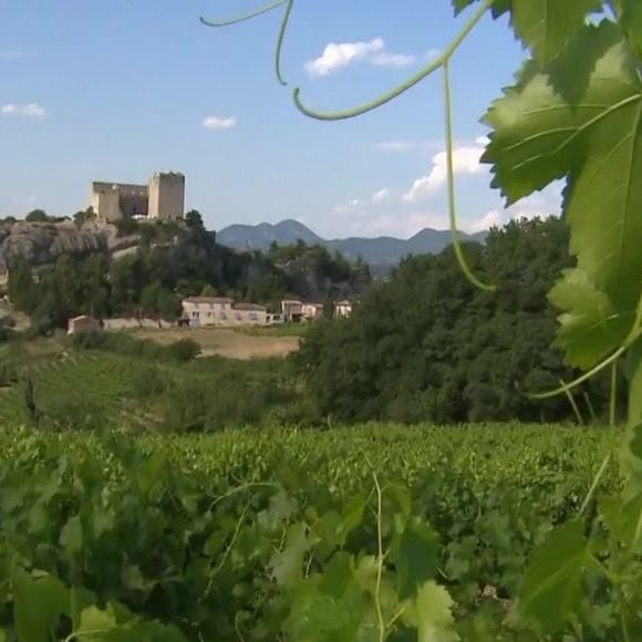 Michel Drucker dévoile des images de la maison de Mimie Mathy située à Vaison-la-Romaine dans l'émission Vivement dimanche le 9 février 2025 sur France 3.
