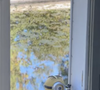 Sur sa story Instagram, l’acteur a filmé un Minion posté à la fenêtre de sa demeure. 

Un Minion s'est invité dans la maison de Pierre Niney - Capture de la story Instagram de Pierre Niney