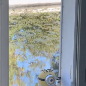 Sur sa story Instagram, l’acteur a filmé un Minion posté à la fenêtre de sa demeure. 

Un Minion s'est invité dans la maison de Pierre Niney - Capture de la story Instagram de Pierre Niney