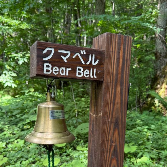 Julian Bugier a partagé des photos de son voyage au Japon en story Instagram.