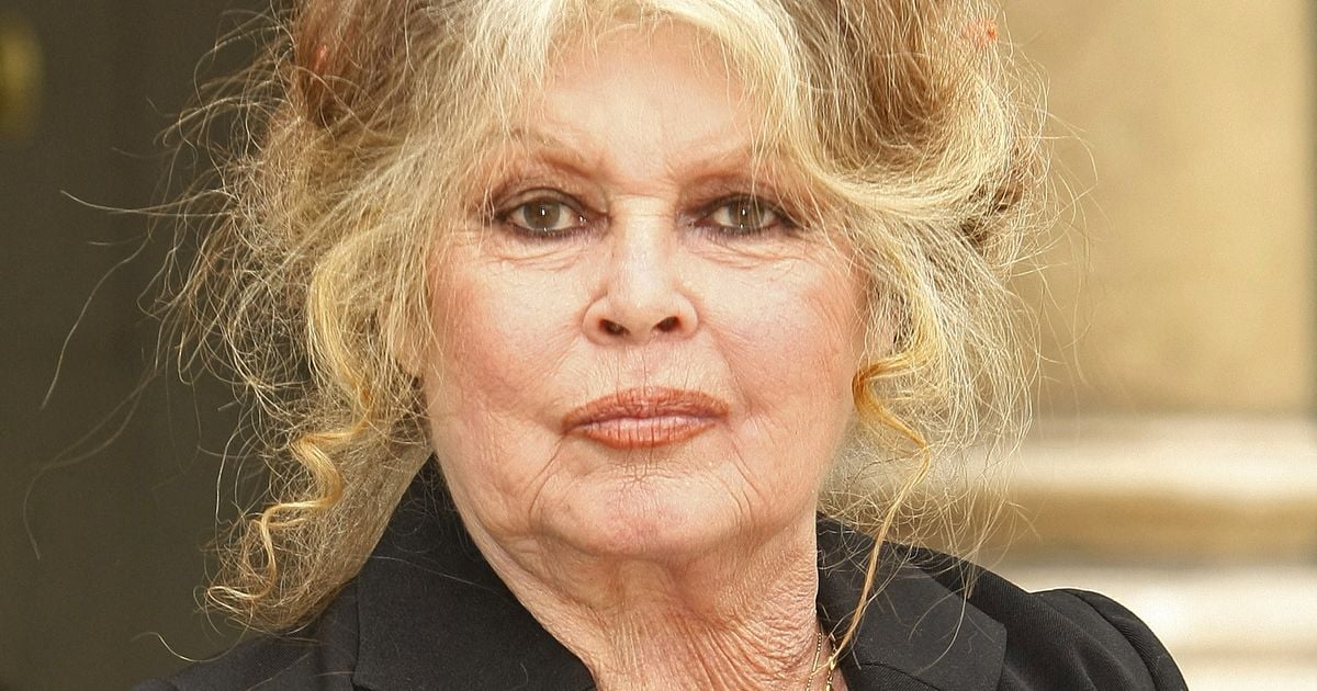 Brigitte Bardot : "Une famille de coeur...", l'ultime prise de parole de l'actrice publiée et elle s'adresse une dernière fois à son public