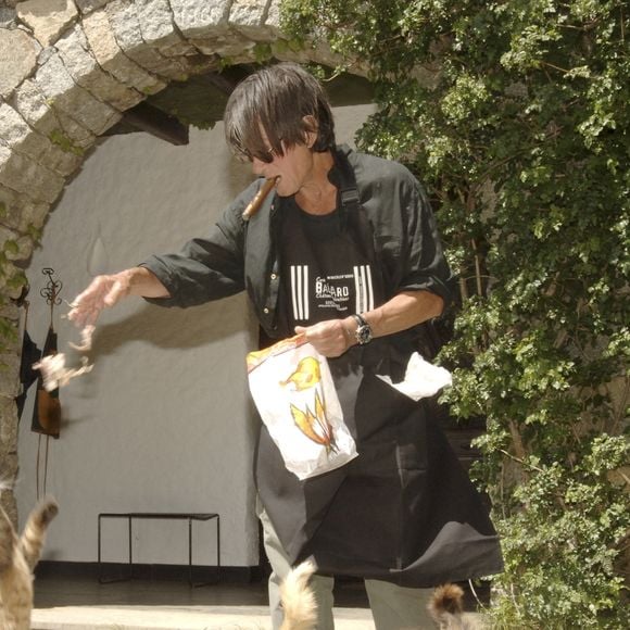 Jacques Dutronc est un amoureux des chats, d'après son fils.

Jacques Dutronc chez lui à Monticello en Corse avec ses chats
GONGORA Marie-Anne via Bestimage