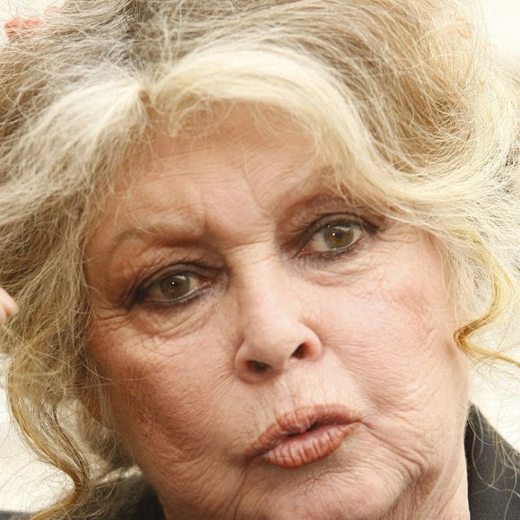 Brigitte Bardot quitte le Palais de l'Elysée à Paris, France, le 27 septembre 2006, après une réunion avec Nicolas Sarkozy.