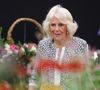 La reine Camilla a interrompu ses vacances d’été pour assister au festival hippique de l’Ebor à York, où elle a évoqué un problème inattendu : une forte infestation de guêpes à Sandringham. 

Le roi Charles III d'Angleterre et Camilla Parker Bowles, reine consort d'Angleterre,visitent le Sandringham Flower Show 2025. © Chris Radburn/WPA-Pool/Bestimage