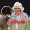 En pleine pause estivale, la reine Camille évoque un événement indésirable dans l’un des domaines préférés de la famille royale