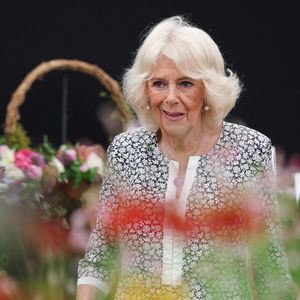 La reine Camilla a interrompu ses vacances d’été pour assister au festival hippique de l’Ebor à York, où elle a évoqué un problème inattendu : une forte infestation de guêpes à Sandringham. 

Le roi Charles III d'Angleterre et Camilla Parker Bowles, reine consort d'Angleterre,visitent le Sandringham Flower Show 2025. © Chris Radburn/WPA-Pool/Bestimage