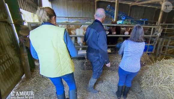 La vie à la ferme chez Jean-Louis dans "L'amour est dans le pré" avec ses prétendantes Sylvie et Isabelle.