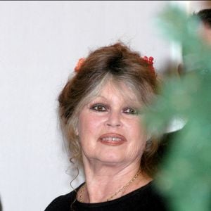 L'ancienne actrice Brigitte Bardot fête le Noël de la Société Protectrice des Animaux dans son refuge d'Auteuil.© Giancarlo Gorassini/ABACA. 40736-9. Paris-France, 14/12/2002.