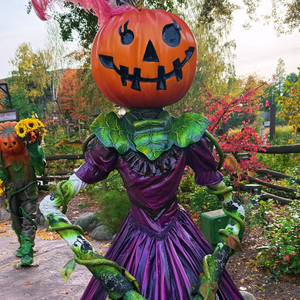 "Entre citrouilles lumineuses et parades, on a vécu un Halloween de rêve à @disneylandparis. Maël, Claudia et Sasha ont eu le plus beau des sorts : la magie de l'enfance et nous aussi", s'est réjouit Karine Ferri sur Instagram.

Karine Ferri et Yoann Gourcuff à Disneyland avec leurs trois enfants.