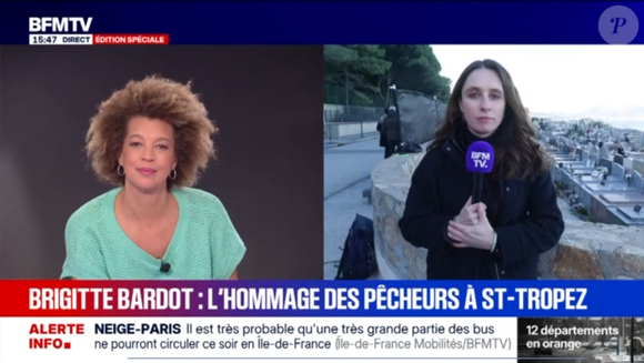 Dernier voyage de Brigitte Bardot, capture d'écran BMFTV