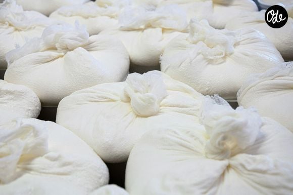 Mozzarella et burrata, qu'est-ce que ça vaut vraiment ?