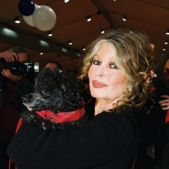 Archives - Brigitte Bardot est morte à 91 ans - BGUK_3449353 - na, FRANCE FILE PHOTOS - La star du cinéma français Brigitte Bardot est morte à l'âge de 91 ans.



Le communiqué, consulté par l'agence de presse AFP, la présente comme une "actrice et chanteuse de renommée mondiale, qui a choisi d'abandonner sa prestigieuse carrière pour consacrer sa vie et son énergie à la protection des animaux et à sa fondation"



Sur la photo : Brigitte Bardot