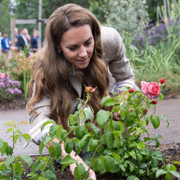 La princesse de Galles plante une rose lors d'une visite au jardin de bien-être de la RHS à l'hôpital de Colchester, dans l'Essex. Cette visite coïncide avec la donation de 50 plants de Catherine's Rose, nommés en l'honneur de la princesse par la RHS, dont les fonds provenant des ventes seront reversés à la Royal Marsden Cancer Charity. 2 juillet 2025. Photo par Stefan Rousseau/PA Wire/ABACAPRESS.COM