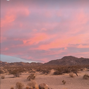 le désert, peut-être dans le parc national de Joshua Tree situé dans le sud-est de la Californie. En tout cas, le décor y fait penser. C'est dans un logement au grand confort 

Pierre Niney et Natasha Andrews aux Etats-Unis en 2025.