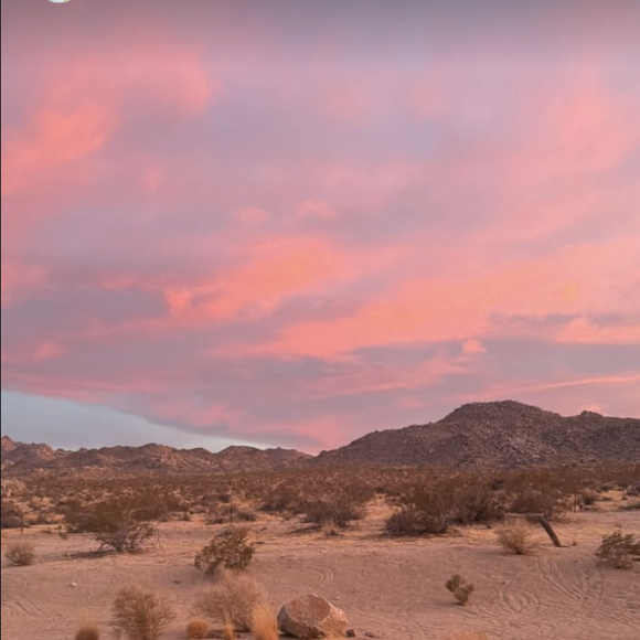 le désert, peut-être dans le parc national de Joshua Tree situé dans le sud-est de la Californie. En tout cas, le décor y fait penser. C'est dans un logement au grand confort 

Pierre Niney et Natasha Andrews aux Etats-Unis en 2025.
