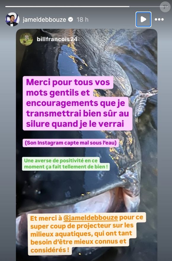 Sur la Toile, Bill François est aussi sorti de sa réserve : Merci pour tous vos mots gentils et encouragements que je transmettrai bien sûr au silure quand je le verrai (...) Son Instagram capte mal sous l'eau. Une averse de positivité en ce moment ça fait tellement de bien !".

Jamel Debbouze relaie le message de remerciements de Bill François via sa story Instagram. (Capture d'écran - dimanche 4 mai 2025)