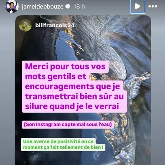 Sur la Toile, Bill François est aussi sorti de sa réserve : Merci pour tous vos mots gentils et encouragements que je transmettrai bien sûr au silure quand je le verrai (...) Son Instagram capte mal sous l'eau. Une averse de positivité en ce moment ça fait tellement de bien !".

Jamel Debbouze relaie le message de remerciements de Bill François via sa story Instagram. (Capture d'écran - dimanche 4 mai 2025)