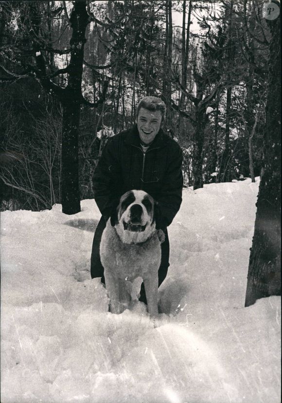 Archives - Johnny Hallyday et un chien à Gstaad en 1962. © Keystone Press Agency / Zuma Press / Bestimage