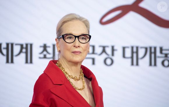 Photo : Meryl Streep, Apr 8, 2026 : L'actrice Meryl Streep lors d'une ...