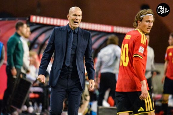 Zinédine Zidane (France)
