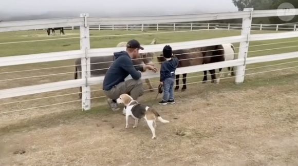 Harry et Archie - Extrait de la vidéo Instagram postée par Meghan Markle en l'honneur de Guy, son chien décédé 
JLPPA/Bestimage