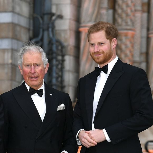 Le prince Harry et le roi Charles III se sont retrouvés après plusieurs mois sans se voir.

Le prince William, duc de Cambridge, Sir David Attenborough, le prince Charles, prince de Galles, le prince Harry, duc de Sussex lors de la première mondiale de la série Netflix "Our Planet" au Musée d'histoire naturelle de Londres. © Backgrid UK/ Bestimage