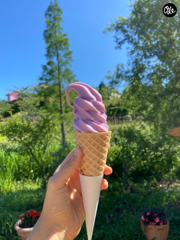 Heureusement, des alternatives artisanales et des sorbets épurés tirent brillamment leur épingle du jeu. Découvrez la liste de ces références.