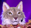 La comédienne se cachait derrière les traits du Lynx

Le Lynx dans "Mask Singer" sur TF1