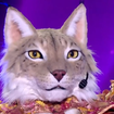 EXCLU "Je ne pouvais pas maîtriser..." : Le Lynx désavantagé malgré lui dans Mask Singer, la production n'avait aucune idée de sa condition