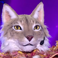 EXCLU "Je ne pouvais pas maîtriser..." : Le Lynx désavantagé malgré lui dans Mask Singer, la production n'avait aucune idée de sa condition
