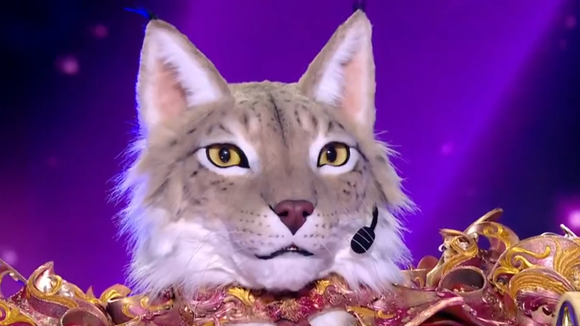 EXCLU "Je ne pouvais pas maîtriser..." : Le Lynx désavantagé malgré lui dans Mask Singer, la production n'avait aucune idée de sa condition
