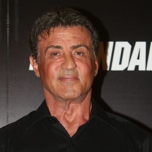Sylvester Stallone - L'équipe du film "Expendables 3" lors d'un photocall à l’hôtel George V à Paris , le 7 août 2014. © Veeren -Christophe Clovis / Bestimage