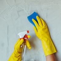Le vinaigre blanc et le vinaigre ménager ne sont pas identiques : quelles sont les différences et comment les utiliser correctement ?