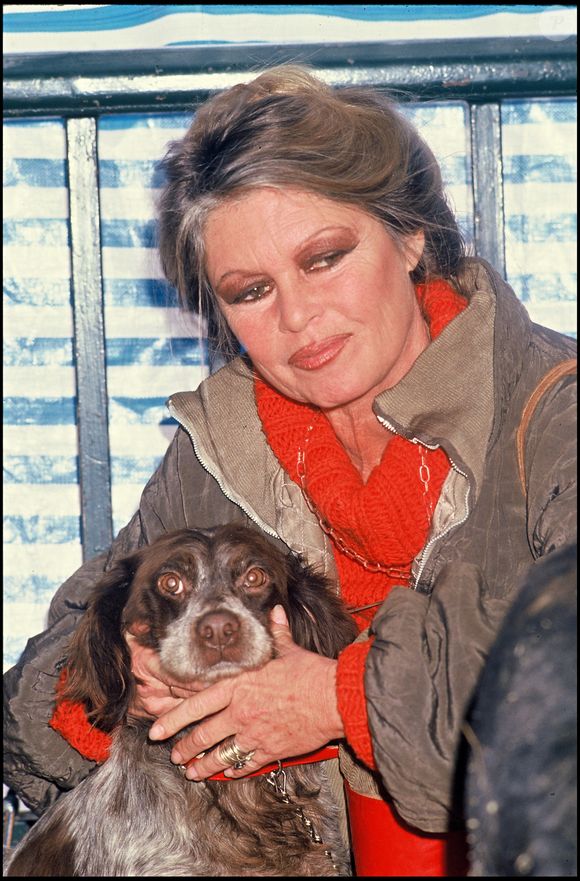 La star du cinéma français Brigitte Bardot est morte à l'âge de 91 ans. Photo par Frederic Herve / Bestimage
