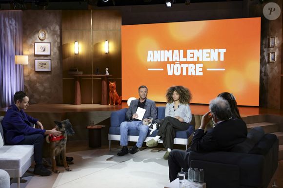 Hugo Clément, Bernard Montiel, Oli et son chien Monday sur plateau de l'émission "Animalement Vôtre" présentée par B.Montiel et diffusée le 1er février 2026 sur France 3, à Paris, France, le 3 décembre 2025. © Jack Tribeca/Bestimage