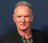 "Plus de deux millions de dollars" sont réclamés au chanteur Sting, par deux personnes qu'il connaît bien

Sting au Wayuu Taya Foundation's Spring Gala à Chelsea Industry à New York. © Ron Adar/SOPA Images via ZUMA Press Wire)