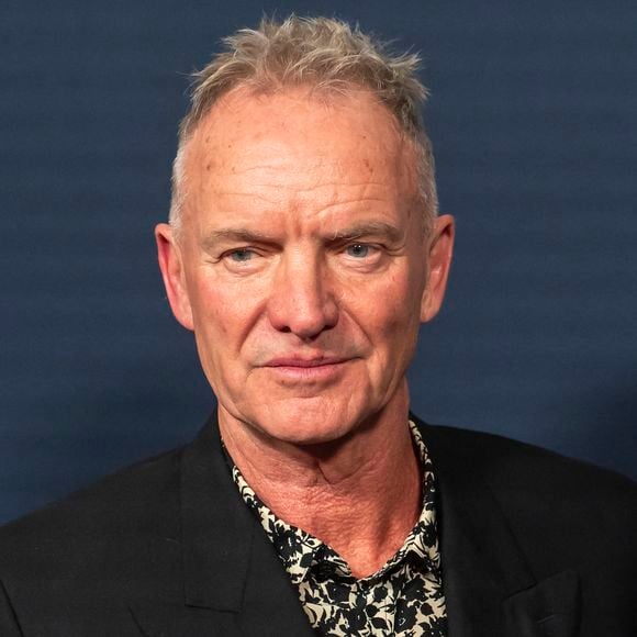 "Plus de deux millions de dollars" sont réclamés au chanteur Sting, par deux personnes qu'il connaît bien

Sting au Wayuu Taya Foundation's Spring Gala à Chelsea Industry à New York. © Ron Adar/SOPA Images via ZUMA Press Wire)