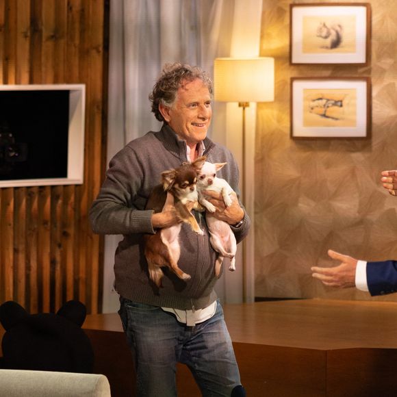 Bernard Montiel, Raphaël Mezrah, Oli. avec Charles Berling et Charles Edouard Fusari invités, Olivia Juriste et Sylvain Vétérinaire sur plateau de l'émission "Animalement Vôtre" présentée par Bernard Montiel à Paris, France, le 12 janvier 2026. © Julien Sarkissian/Bestimage