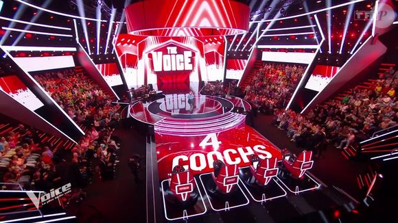 Capture d'écran de The Voice sur TF1
