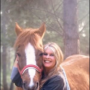 Archives de Brigitte Bardot

Photo : Agence / Bestimage