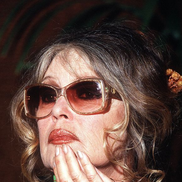 L'homme assure vouloir raconter cette histoire pour redorer l'image de l'actrice, et montrer au monde qu'elle était une personne simple et accessible.

Brigitte Bardot Eurogroupe pour le bien-être animal le 30 novembre 2007. Photo Reporters/Abaca