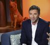 Bernard Montiel reçoit une nouvelle personnalité dans son émission Animalement vôtre 

Exclusif - Bernard Montiel, sur plateau de la nouvelle émission "Animalement Vôtre" présentée par Bernard Montiel sur France 3, à Paris, France

© Jack Tribeca/Bestimage
