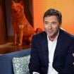Animalement Vôtre (France 3) : Bernard Montiel reçoit une présentatrice qui a marqué le monde de la télévision en France