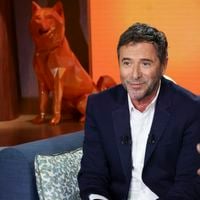 Animalement Vôtre (France 3) : Bernard Montiel reçoit une présentatrice qui a marqué le monde de la télévision en France
