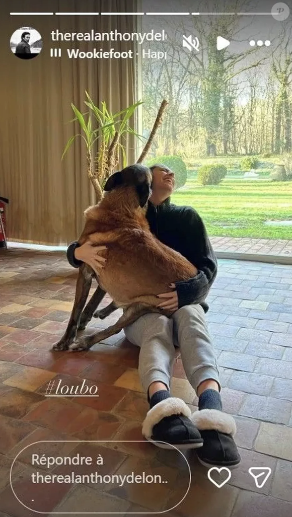 Anthony Delon, story Instagram