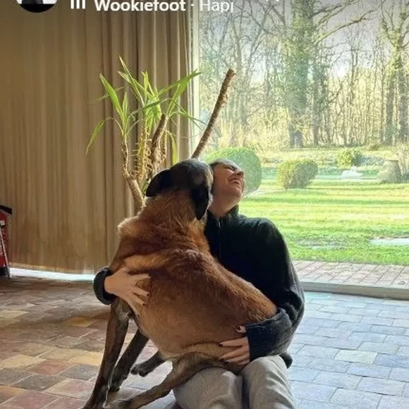 Anthony Delon, story Instagram