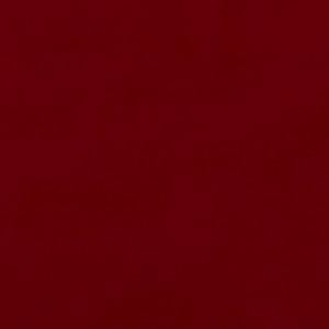 Faudel, lors de la représentation pour Les Pièces Jaunes du Cirque Bouglione au Cirque d'Hiver organisée par le couturier Stéphane Rolland et Pierre Martinez, Paris, France. © Jack Tribeca / Bestimage