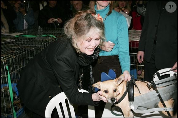 Brigitte Bardot à la Journée spéciale d'adoption à Levallois-Perret « Le Noël des animaux » organisé par la SPA
Photographe : Agence Bestimage