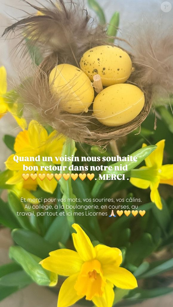 Elodie Gossuin partage en story Instagram le cadeau qu'elle a reçu de la part de l'un de ses voisins