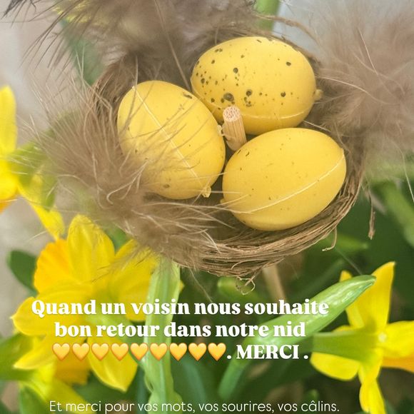 Elodie Gossuin partage en story Instagram le cadeau qu'elle a reçu de la part de l'un de ses voisins